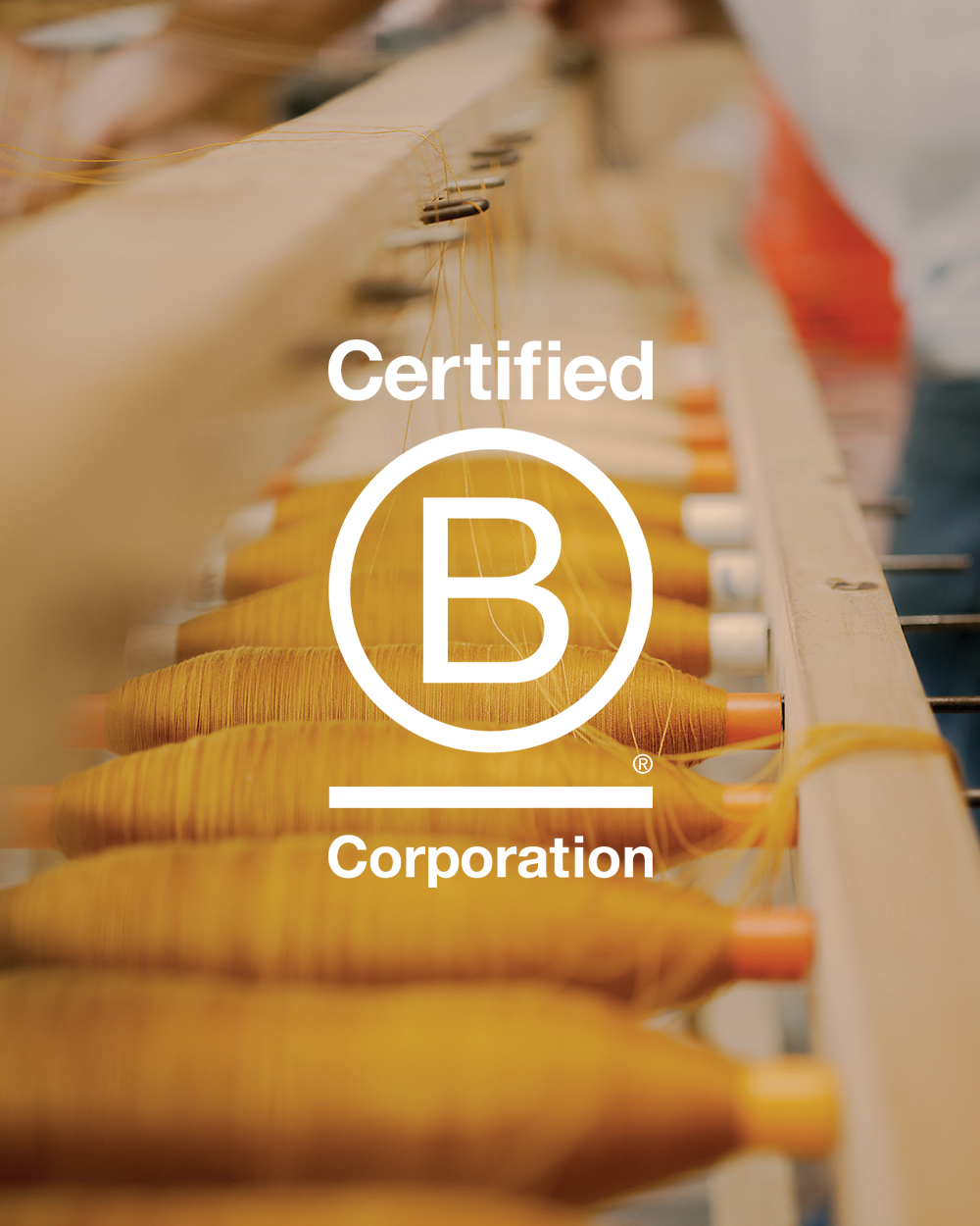 We're A B Corporation | MINNA Journal